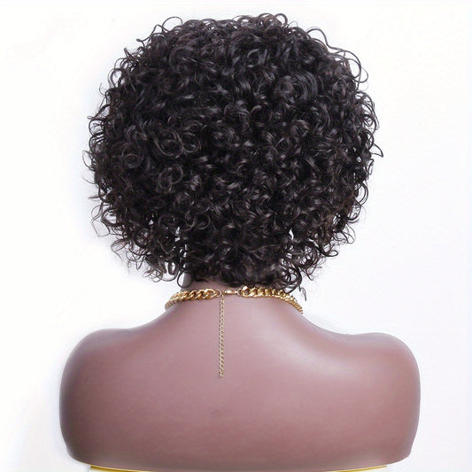 Brazilian Human Hair Pixie Cut Wig with T Part Lace Front Short Curly Wig