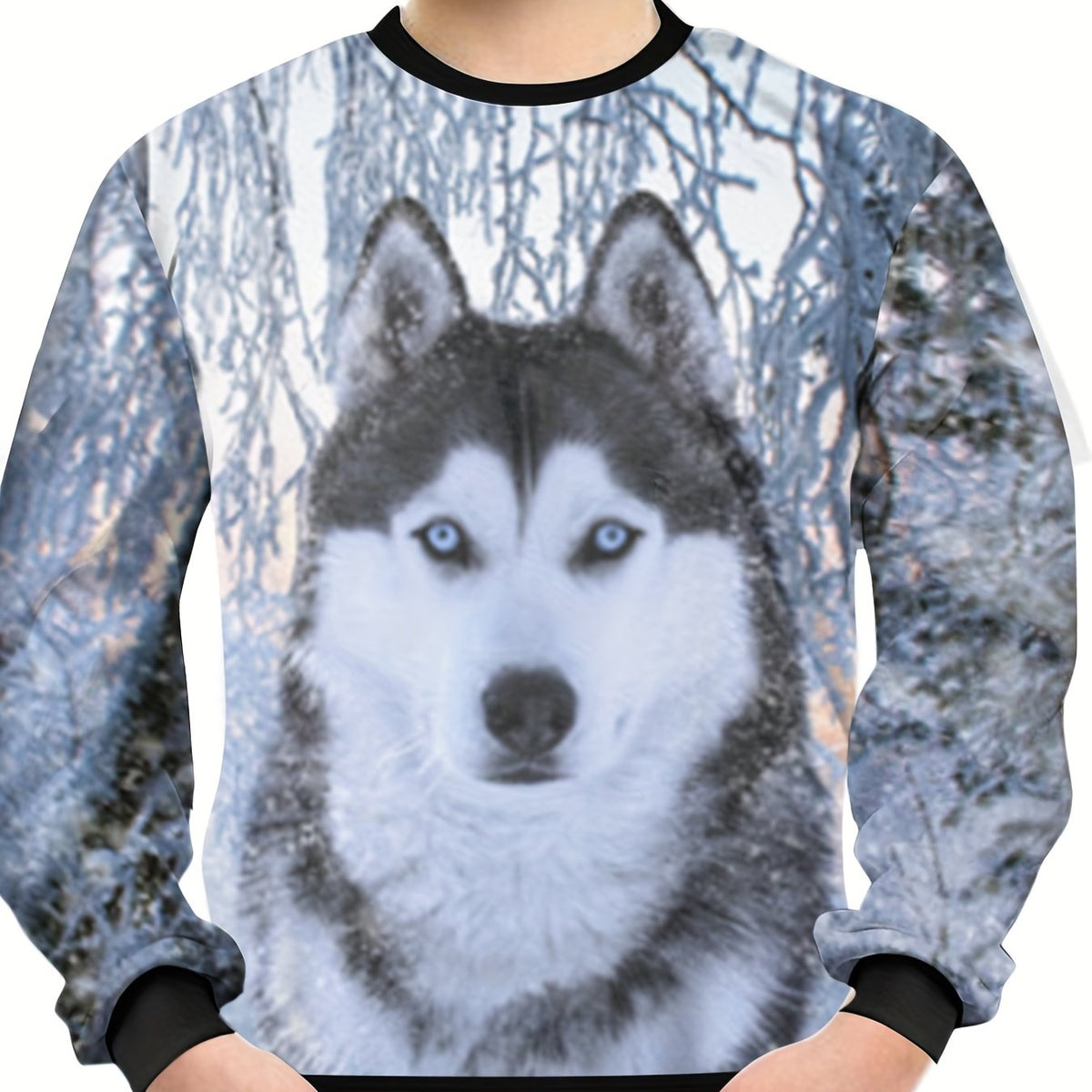 3D Winter Husky Pattern Sweatshirt For Kids Unisex Pullover