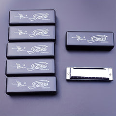 10 Hole 20 Tone Diatonic Harmonica Blues Harp For Beginners