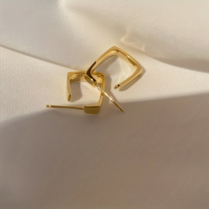 Irregular Geometric Metal Earrings for Women Jewelry Gift