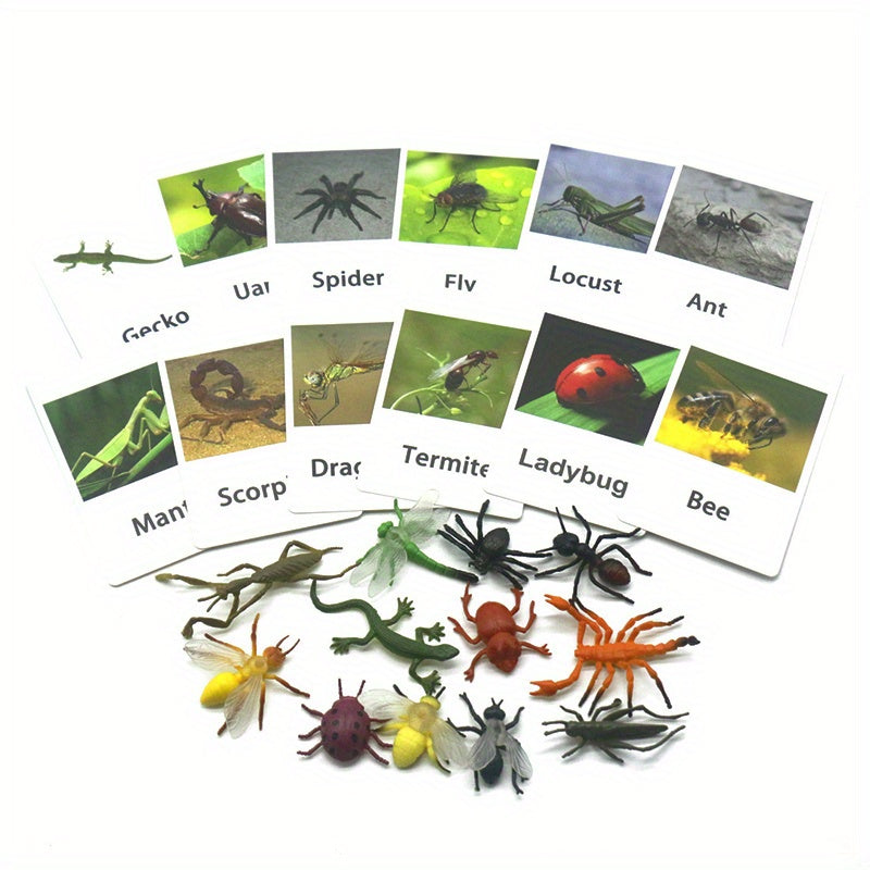 Montessori Animal Matching Card Educational Toy