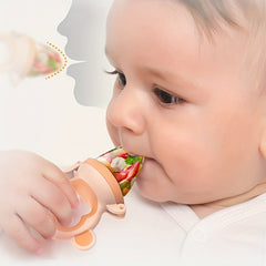 Baby Fruit Food Feeder Pacifier & Teether