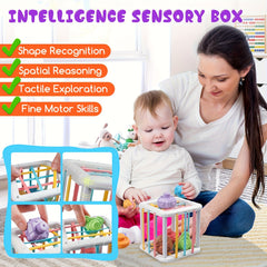 Rainbow Sesame Sensory Toy for Babies - Shape Recognition & Motor Skills