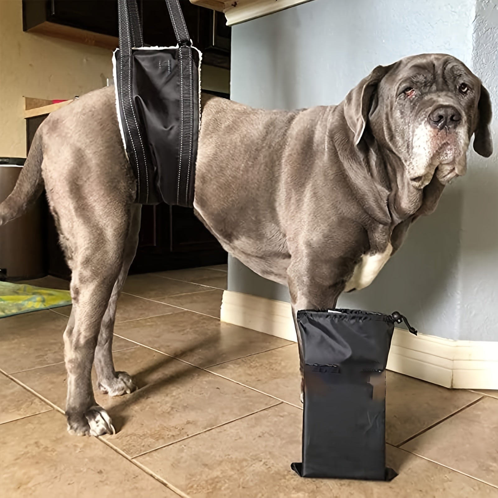 Hip Support Harness for Dogs - Portable Sling to Lift Rear Legs
