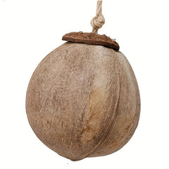 Coconut Shell Bird Nest With Ladder