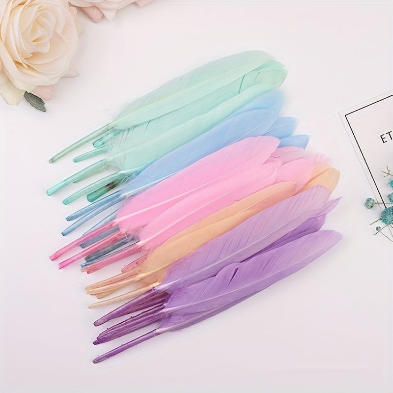 50pcs Small Straight Feather Pack - Artwork Creative Art Materials