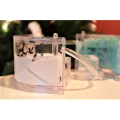 Educational Ant Farm Kit with PVC Habitat