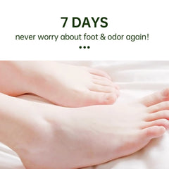 img_665865