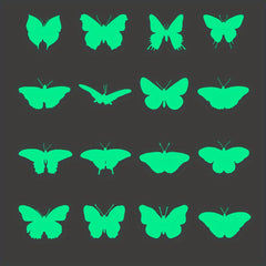 Glow In The Dark Butterfly Wall Stickers for Girls' Room