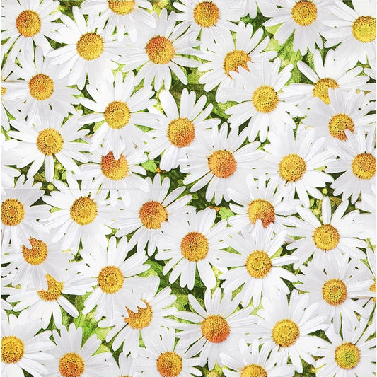 Daisy Flower Party Supplies Set Disposable Dinnerware Plates Napkins & Cups
