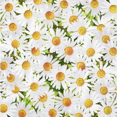 Daisy Flower Party Supplies Set Disposable Dinnerware Plates Napkins & Cups