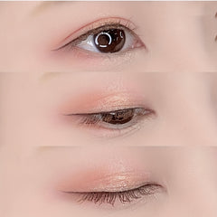 Coral Tone Eyeshadow Palette Matte Shimmer Finish