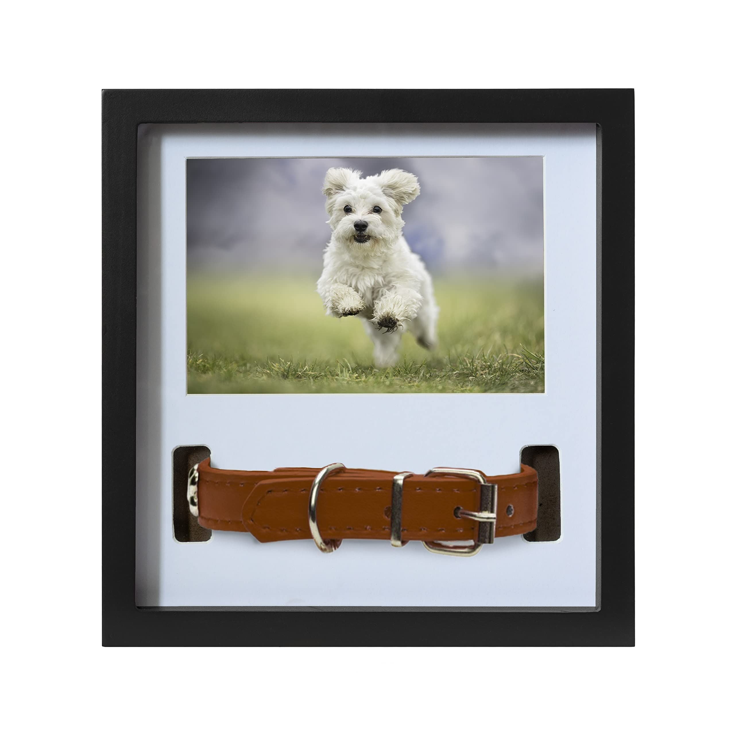 Pet Memorial Photo Frame Collar Frame for Dogs