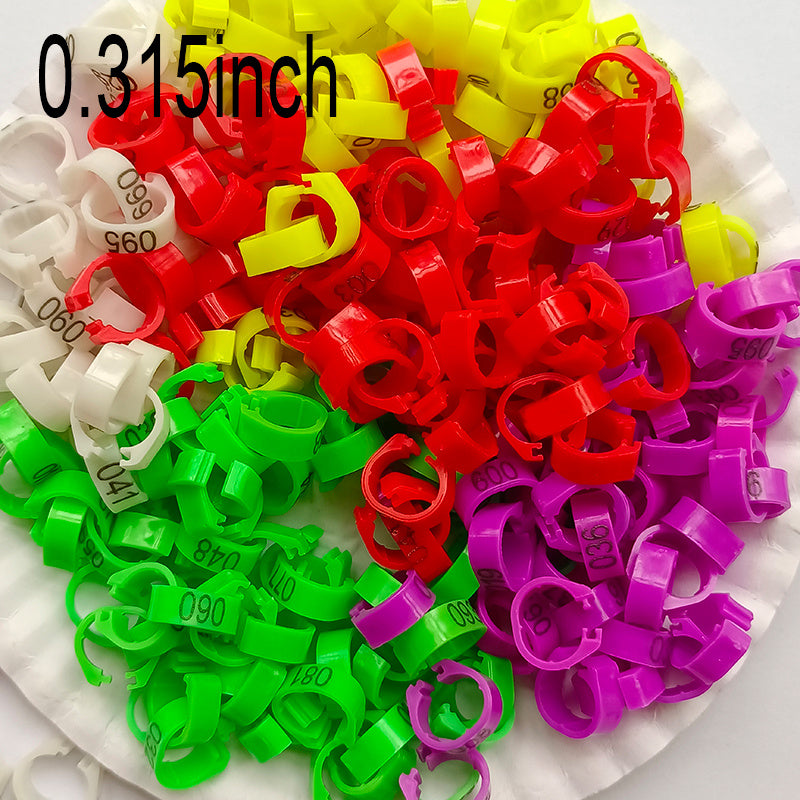 100pcs Poultry Foot Ring for Bird Identification, Chickens, Pigeons