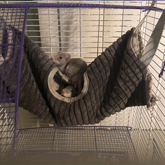 Winter Hammock Tunnel for Small Animals - Cozy Hideout for Sugar Gliders