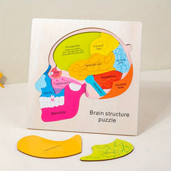 Wooden Brain Anatomy Puzzle for Kids Educational Toy