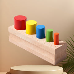 Colorful 5 Peg Cylinder Shape Sorting Toy