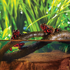 Suction Cup Vine for Reptile Tank with Sheath