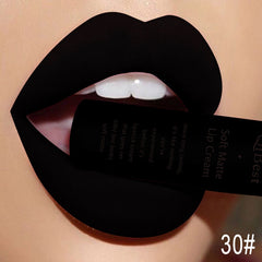 Matte Non Stick Lip Gloss High Pigmented Lipstick