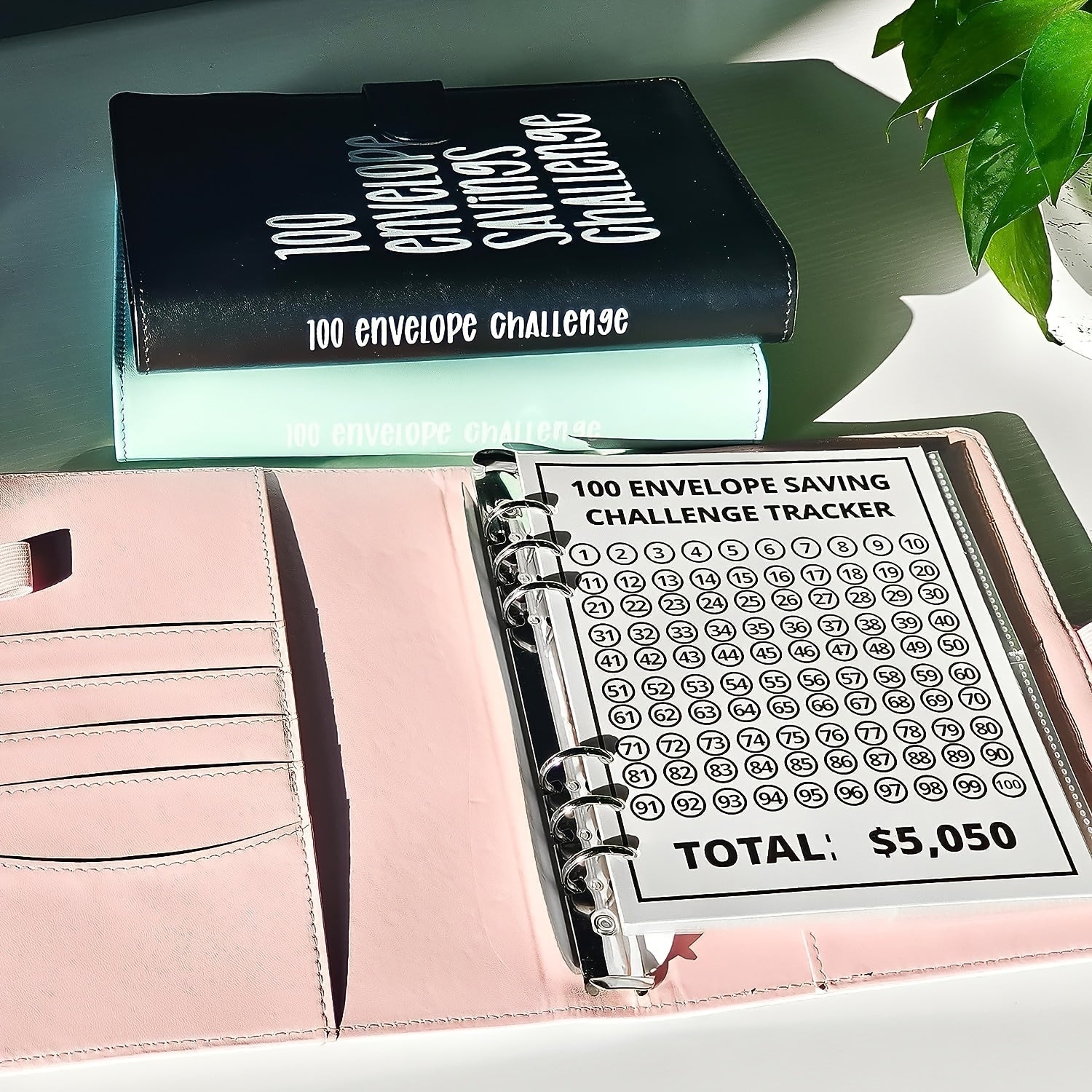 100 Envelope Challenge Binder - Easy Way To Save - $5,050 Savings