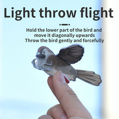 Bird 3D Educational Toy Children's Novelty Stress Relief Gift
