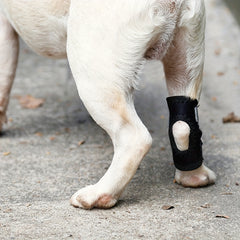 Dog Leg Protector Recovery Dog Leg Sleeve