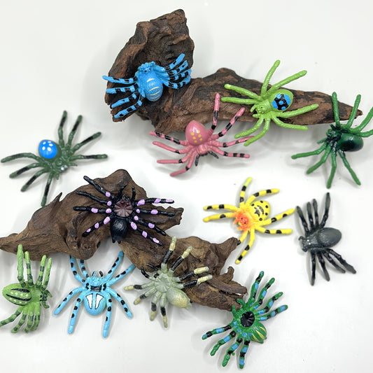 12pcs Colorful Spider Web Set Assorted Colors Educational Decor for Kids
