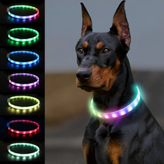 JOYTALE LED Dog Collar Light Up USB Rechargeable Safety Necklace