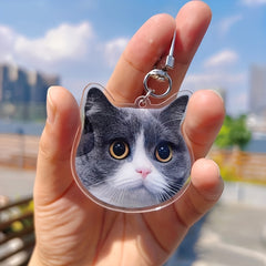 img_8875071