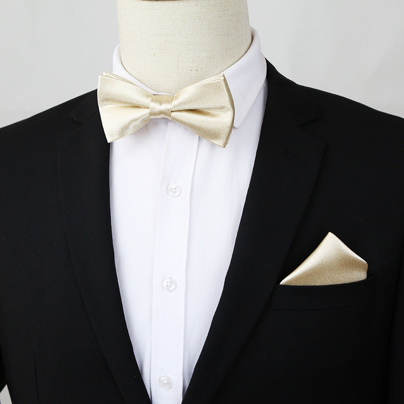 2pcs Bow Tie Pocket Square Set Men's Business Casual Dress Accessories