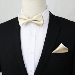 2pcs Bow Tie Pocket Square Set Men's Business Casual Dress Accessories