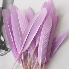 50pcs Small Straight Feather Pack - Artwork Creative Art Materials