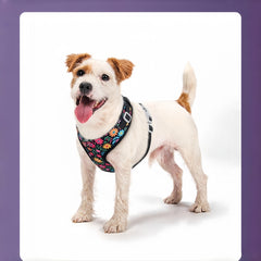img_7365834