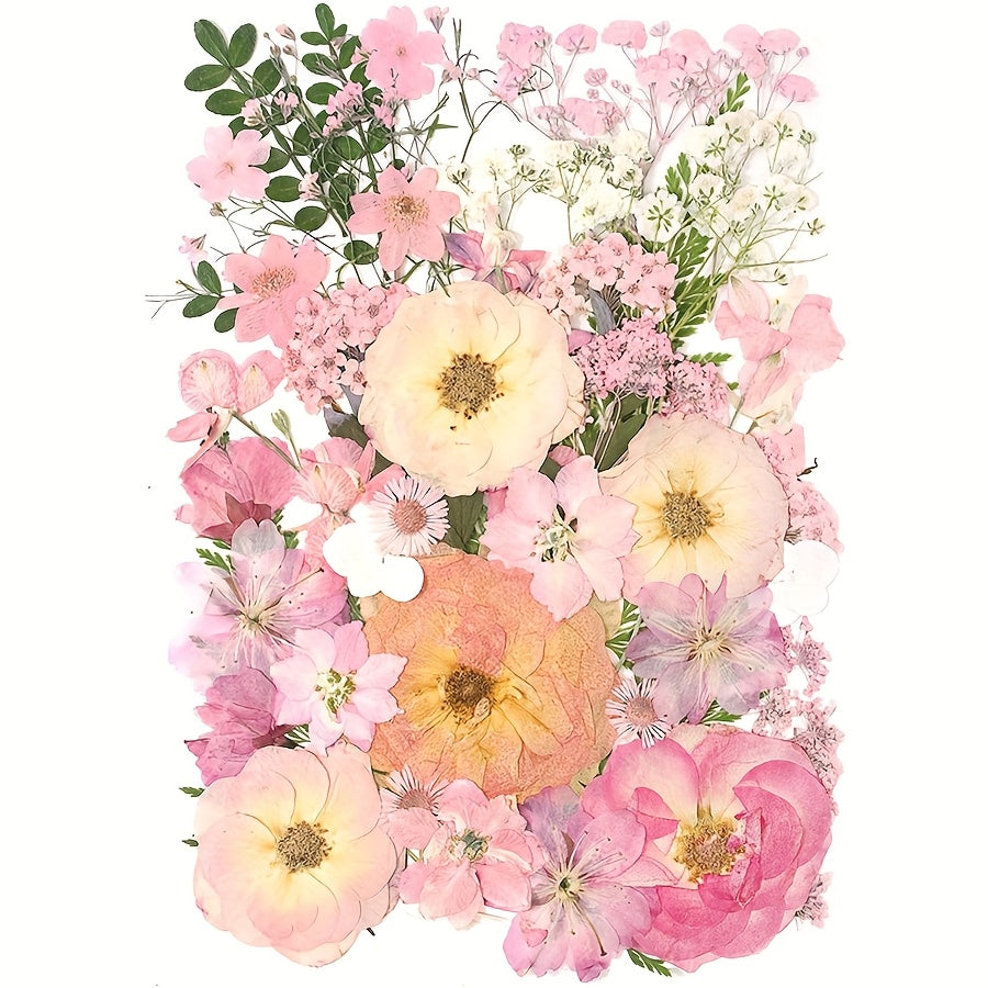 48pcs Pink Dried Pressed Flower Leaf Plant Resin Mold Jewelry Making