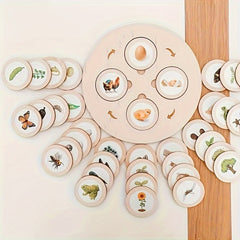 Wooden Life Cycle Board Game Educational Science Toy