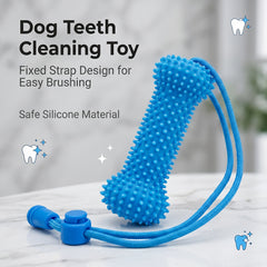 img_10554614
