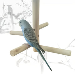 Outdoor Parrot Perch Stand for Exercise and Fun