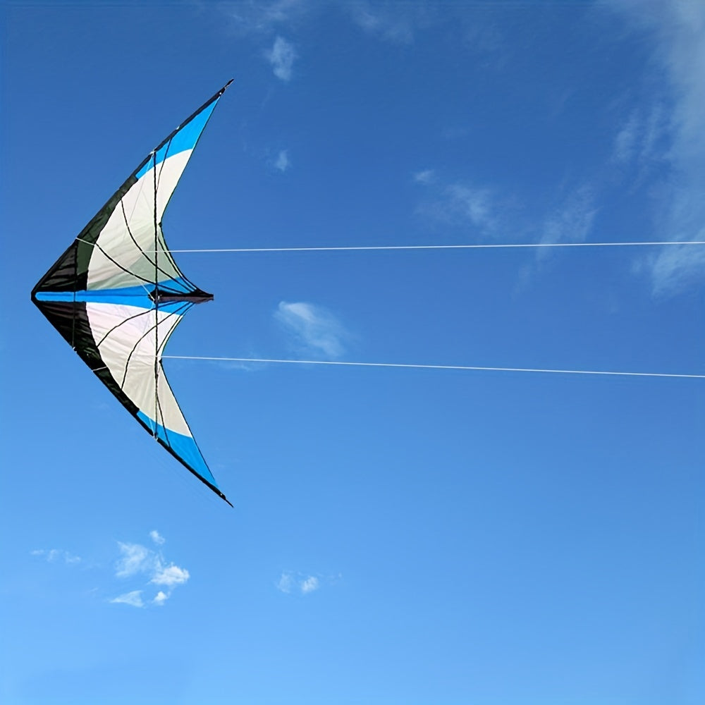 Exciting Kite Flying - Outdoor Fun with Kite & Handle