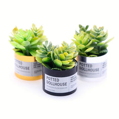 3pcs Mini Succulent Potted Plants DIY Mini Garden