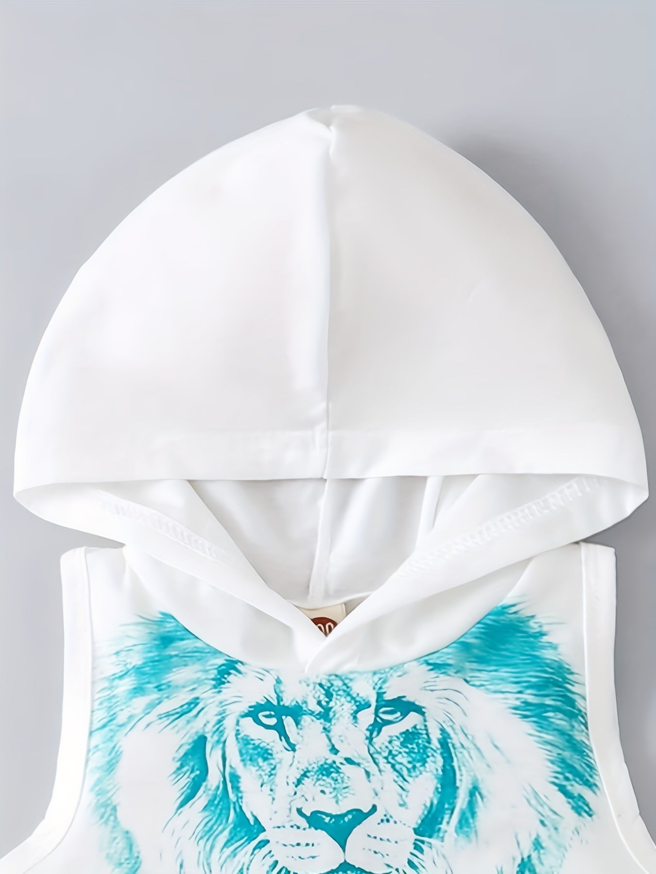 Boys Lion Print Tank Top & Shorts Set