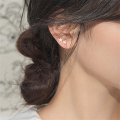 925 Silver Star Zircon Stud Earrings for Women
