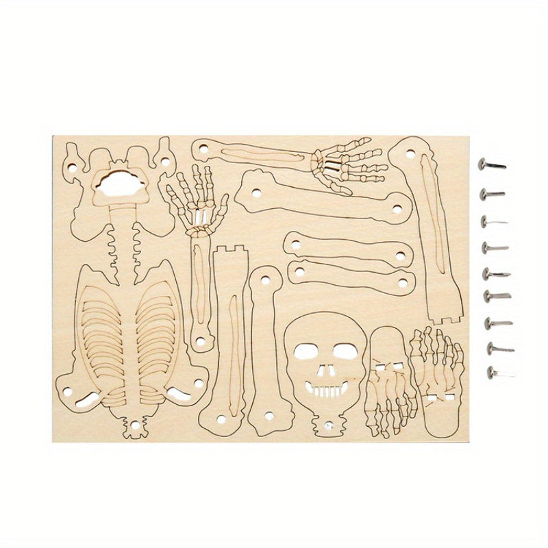 DIY Human Skeleton Assembly Puzzle Kit for Small Production