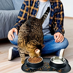 Stainless Steel Double Dog Bowl with No Spill Silicone Mat