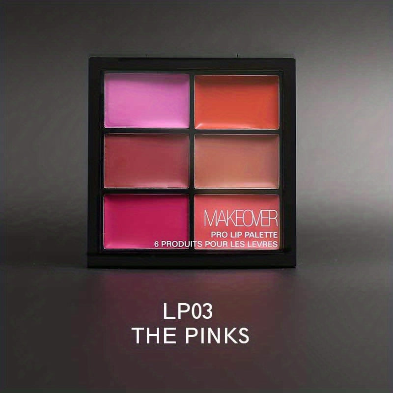 6 Lipstick Palette Matte & Shimmer Finish Nude Red Plum