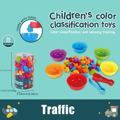 Rainbow Matching Game Animal Cognition Montessori Toy