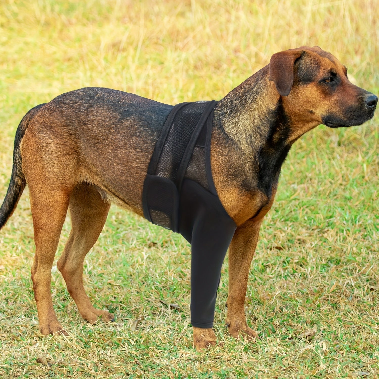 Adjustable Dog Knee Protector Protective Sleeve High Elasticity Leg Joint Brace