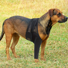 Adjustable Dog Knee Protector Protective Sleeve High Elasticity Leg Joint Brace