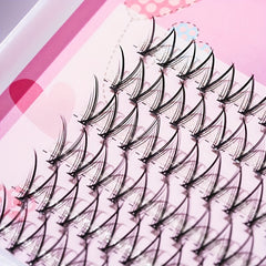 120pcs Mixed Fairy Style V Shape Cluster Lashes 6 Lengths in One Tray