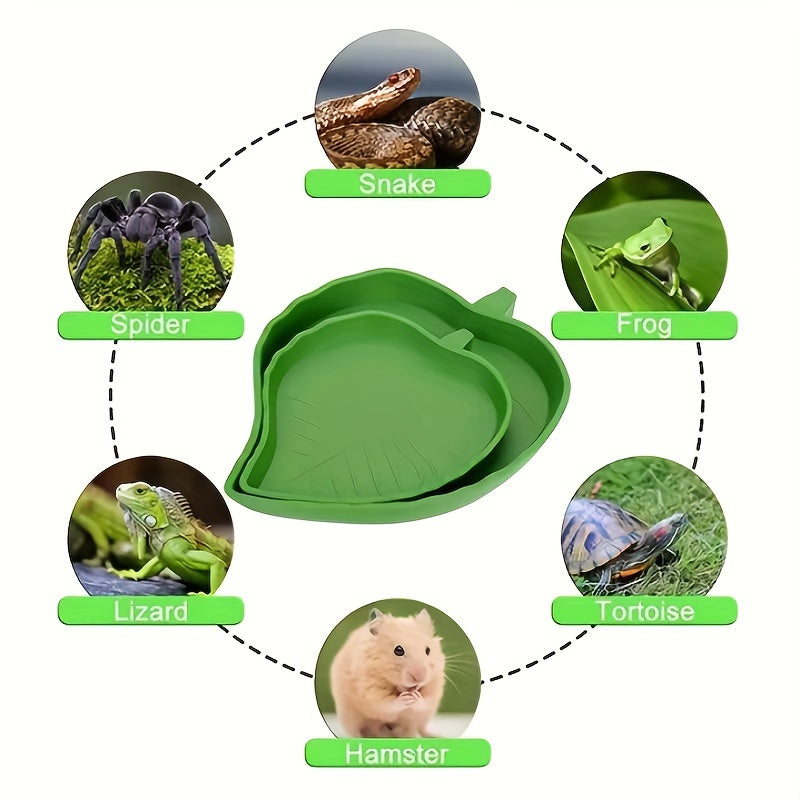 Leaf Shaped Reptile Food/Water Bowl for Tortoise Snake