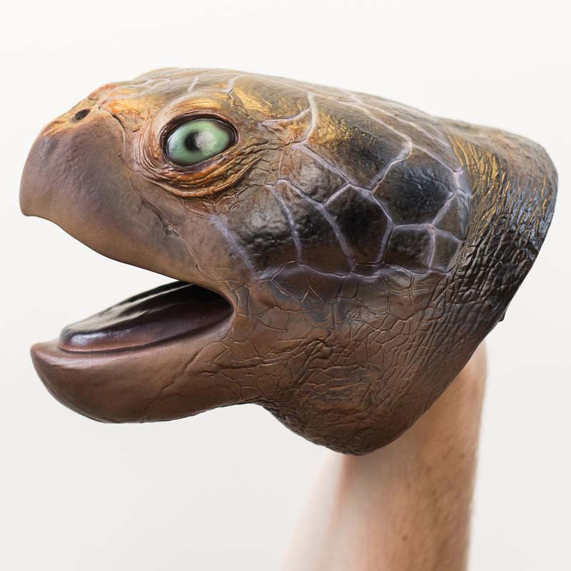 Wild Thingz Sea Turtle Hand Puppet